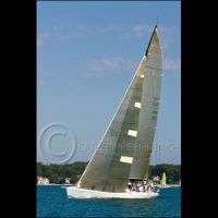 CEF8164 srgb copyrt.jpg